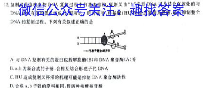 2023年山西省普通高中学业水平合格性考试适应性测试试题（12月）生物学试题答案