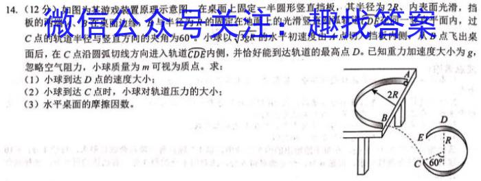 2023-2024学年湖北省高二考试5月联考(24-534B)物理试卷答案