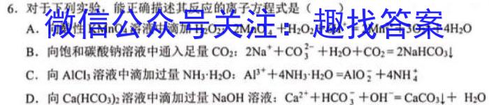 q炎德英才大联考 2024年长郡中学高一选科适应性调查限时训练化学