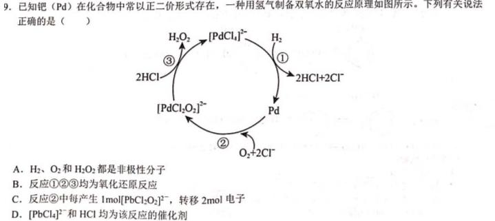 1三重教育·2024届高三年级上学期12月联考（全国卷）化学试卷答案