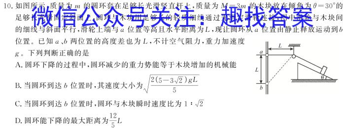 2026届普通高等学校招生全国统一考试青桐鸣高一联考（5月）物理试题答案