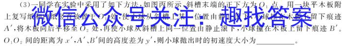 陕西省2023~2024学年度第二学期高一6月月考考试检测试卷(241919Z)物理试卷答案