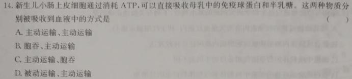 河北省2024届高三年级大数据应用调研联合测评（Ⅵ）生物学部分