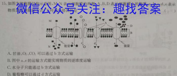 陕西省2023~2024学年度八年级期末教学素养测评(八) 8L R-SX生物学试题答案