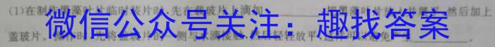 惠东县2024-2025学年第一学期高三年级第一次质量检测生物学试题答案