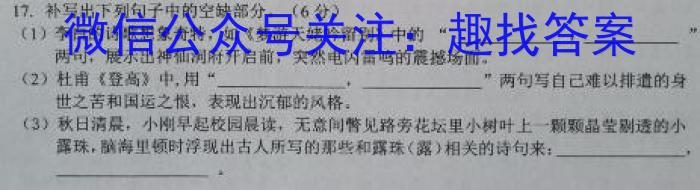 2024年陕西省初中学业水平考试（SX2）/语文