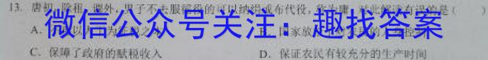 河北省2024-2025学年度第一学期素质调研三（九年级）&政治