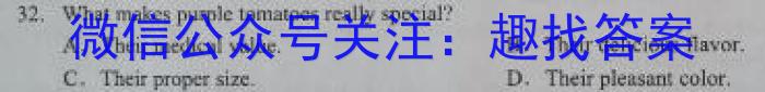 安徽省2024届九年级第一次模拟考试英语