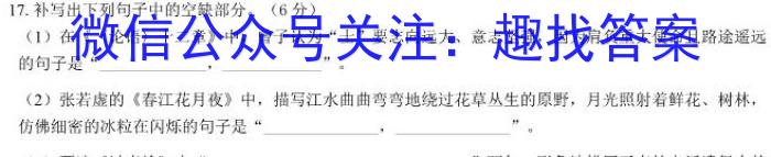 江西省2024年九年级第一次效果检测语文