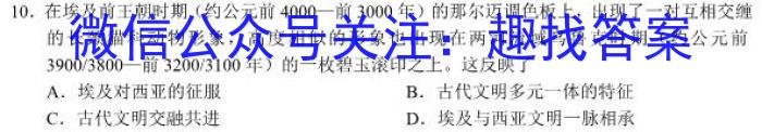 陕西省商洛市2023-2024学年度八年级第一学期期末调研试题（卷）历史试卷答案