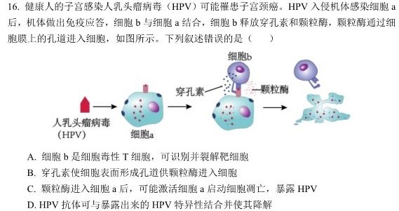 2025届名校大联盟·高三月考卷(一)1生物