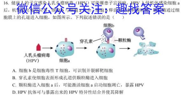 2024届名校大联盟·高三月考卷(七)生物学试题答案