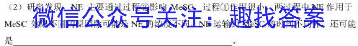 2024届湖南省高三4月联考(24-432C)生物学试题答案