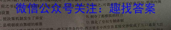 安徽省2024年中考总复习专题训练 R-AH(十二)12历史试卷答案