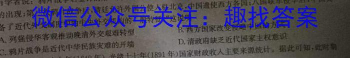 河南省2024年九年级第三次模拟试卷历史试卷