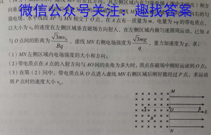 2024届衡水金卷高三3月大联考(新教材)物理`