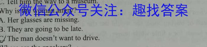 九师联盟2023~2024学年高三核心模拟卷(中)(四)英语试卷答案