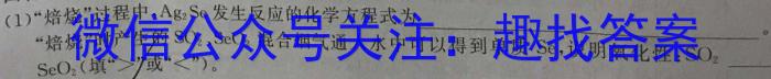 q2023年潍坊市普通高中学科素养能力测评（12月）化学