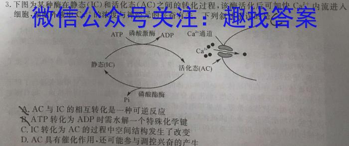 重庆市新高考金卷2024届全国Ⅱ卷适应卷(一)1生物学试题答案