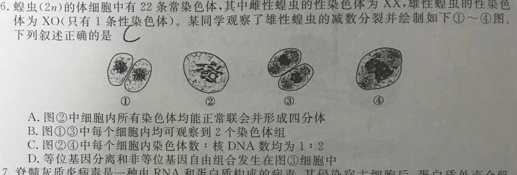 百师联盟 2024届高三冲刺卷(一)1(全国卷)生物学部分