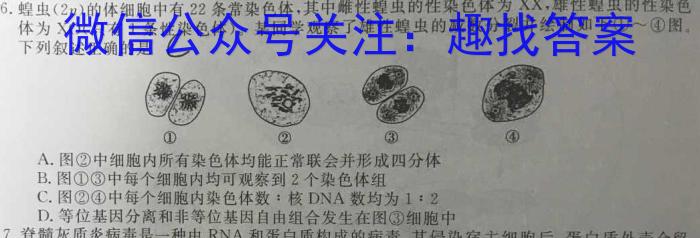 铭师文化 2023~2024学年第二学情安徽县中联盟高二3月联考(4331B)生物学试题答案