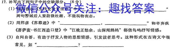 天一大联考2024年河南省普通高中招生考试考前定位试题语文