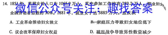 安徽省2024届九年级上学期1月期末考试（无标题）历史试卷答案