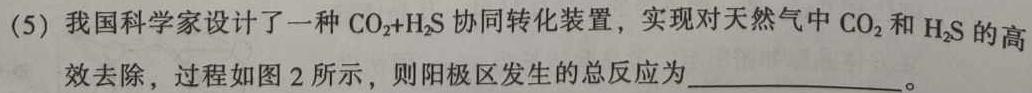 1三重教育2023-2024学年第一学期高一年级12月质量监测化学试卷答案