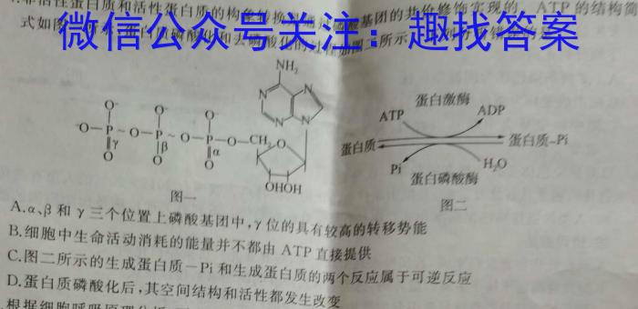 2024年湖北省新高考信息卷(三)3生物学试题答案