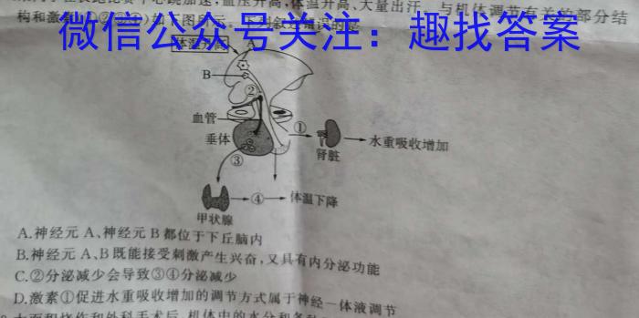 江西三校 2023~2024学年度上学期高二期末考试(242446Z)生物学试题答案