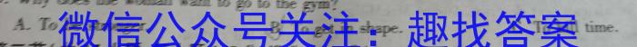 2024年河南省普通高中招生考试模拟试卷(密卷一)英语