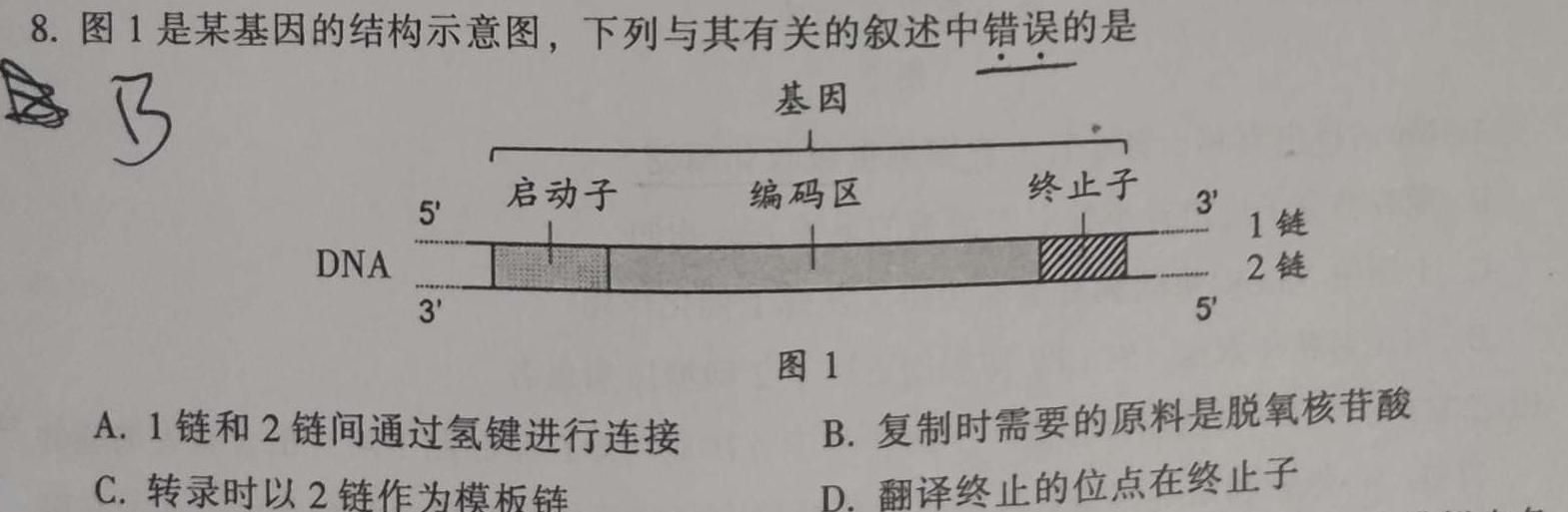 天一大联考 2024届高考全真模拟卷(六)6生物