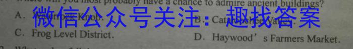 2024年河南省普通高中招生考试中考密卷(二卷)英语试卷答案