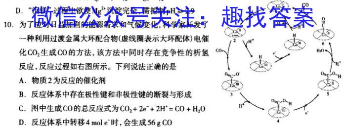 3广西普通高中学业水平选择性考试第二次调研考试化学试题