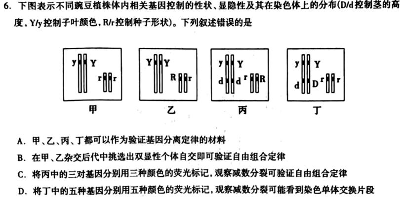 宜章一中2024-2025学年度高二上期阶段性测试(一)生物学部分