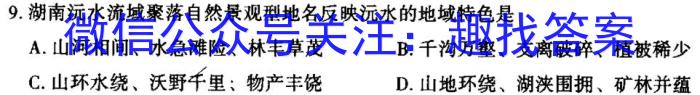 金科大联考·2024~2025高一11月期中质量检测(25136A)&政治