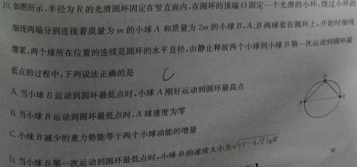 2023-2024学年上学期保定市高一年级1+3联考12月月考物理试题.