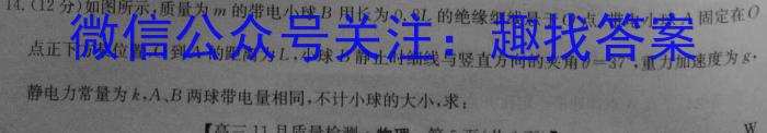 2024年河北省初中毕业生升学文化课考试麒麟卷（二）物理试卷答案