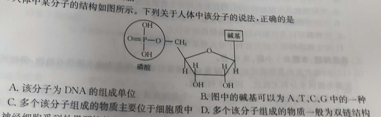 江西省2024年初中学业水平考试（定心卷）生物