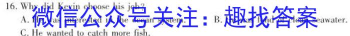 智慧上进·稳派大联考2024届高三一轮复习验收考试（12月）英语试卷答案