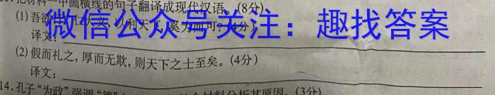 2024年陕西省初中学业水平考试·仿真模底卷C语文