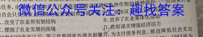 安徽省2024届皖南八校高三第二次联考(HD)历史试卷答案