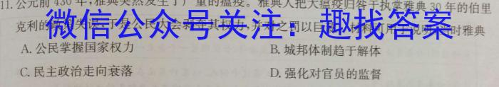 江西省2025届八年级（三）12.27历史试卷答案