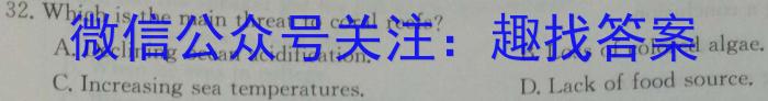 九师联盟 2023-2024学年高一12月联考英语试卷答案