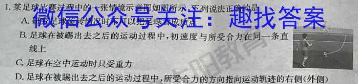 安徽省六安市某校2024届初三阶段性目标检测（五）物理试卷答案