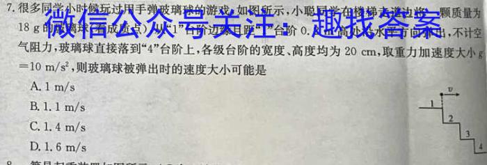 安徽省高一毛坦厂中学2023~2024学年度下学期期末考试(241945D)物理试卷答案