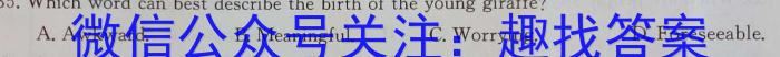 江西省九江市2023-2024学年度下学期九年级开学测（三校联考）英语