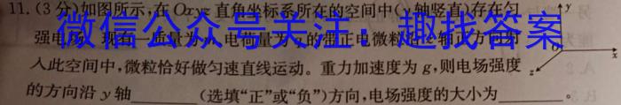 河南省宁陵县2023-2024学年度九年级上学期期末考试物理试卷答案