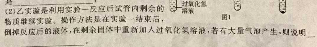 12024普通高等学校招生全国统一考试·模拟信息卷(一)1化学试卷答案