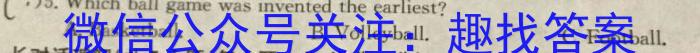 学林教育 2024年陕西省初中学业水平考试·信息猜题卷英语试卷答案